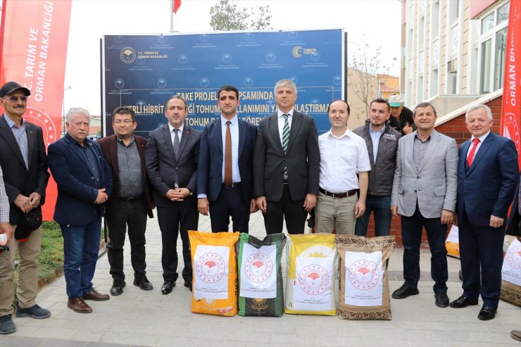 Edirne'de çiftçilere hastalıklara dayanıklı yerli hibrit ayçiçeği tohumu dağıtıldı