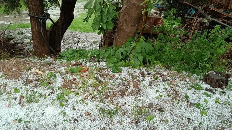 Adana'da dolu etkili oldu