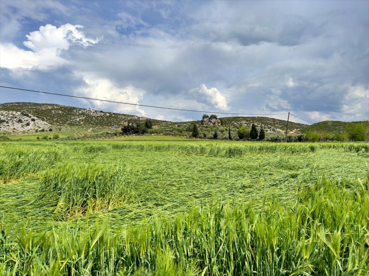 Osmaniye'de sağanak ve dolu, tarım arazilerine zarar verdi