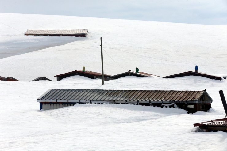 Ardahan'da yayla evleri ilkbaharda kara gömüldü