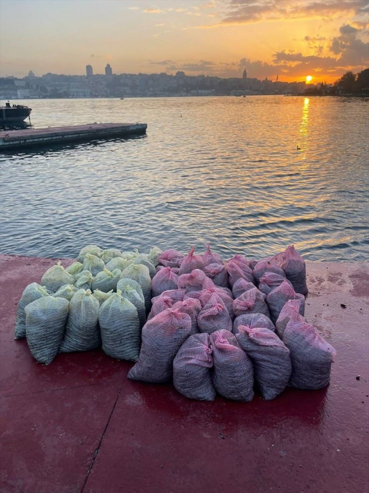 İstanbul'da kaçak midye avlayan 2 kişiye 52 bin 484 lira para cezası kesildi