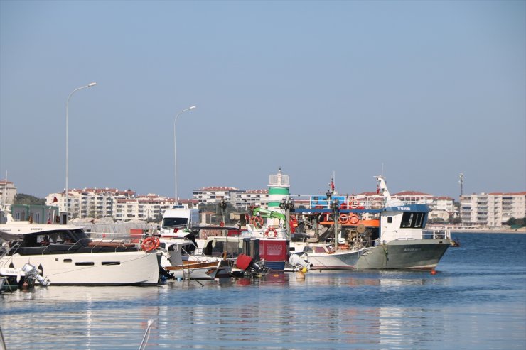 Yalovalı balıkçılar bu yıl da hamsi ile kazanç sağladı