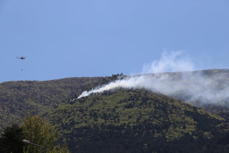 GÜNCELLEME - Bursa'da, Uludağ eteklerinde çıkan orman yangını kontrol altına alındı