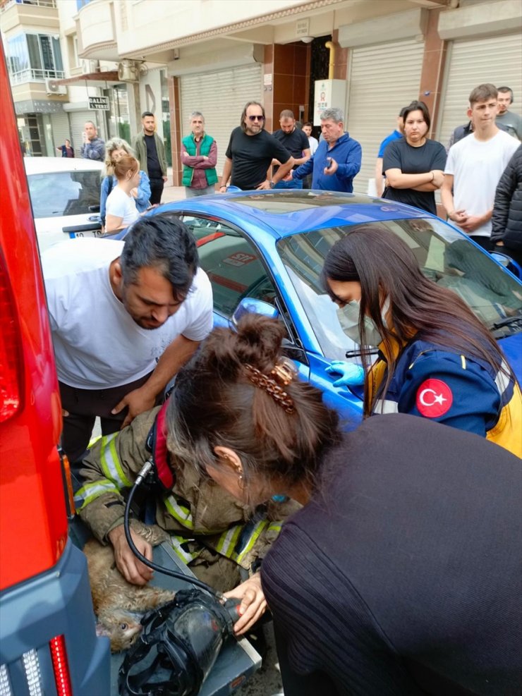 İzmir'deki yangında dumandan etkilenen kediye itfaiye müdahalesi