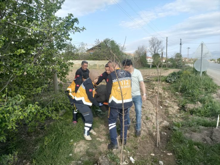 Tokat'ta ağaca çarpan hafif ticari araçtaki 3 kişi yaralandı