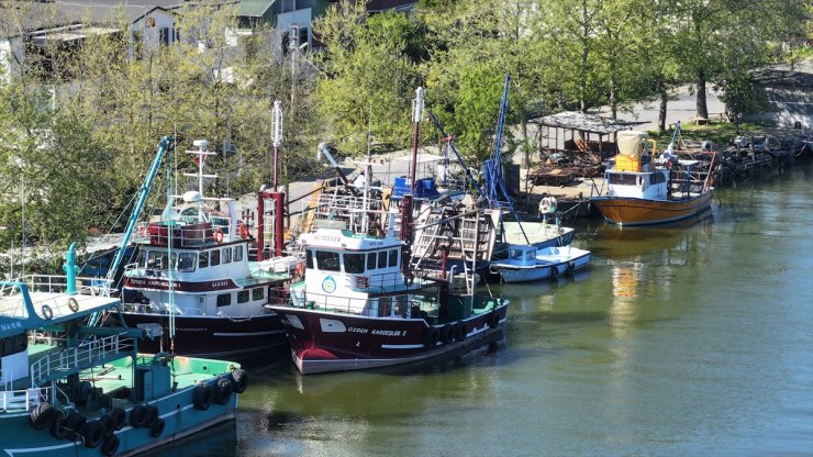 Sakarya, Zonguldak ve Kocaeli'de balıkçılar, av yasağının başlamasıyla limanlara demirledi