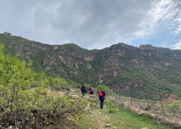 Siirt'te soryaz bitkisini toplarken uçuruma düşen kişi hayatını kaybetti