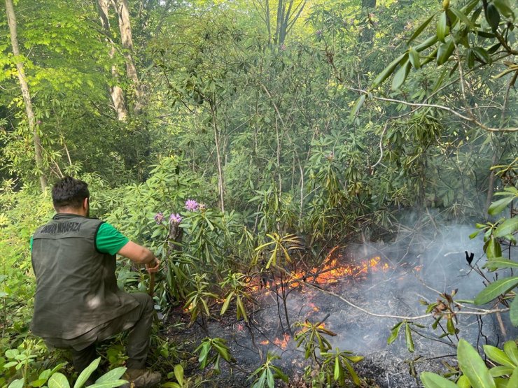 Sakarya'da çıkan yangında 5 dönüm ormanlık alan zarar gördü