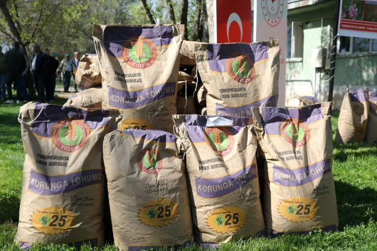 Muş'ta 150 çiftçiye 100 ton korunga tohumu dağıtıldı