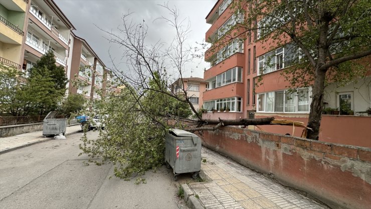 Çorum'da kuvvetli rüzgar nedeniyle binaların çatısı uçtu, ağaçlar devrildi