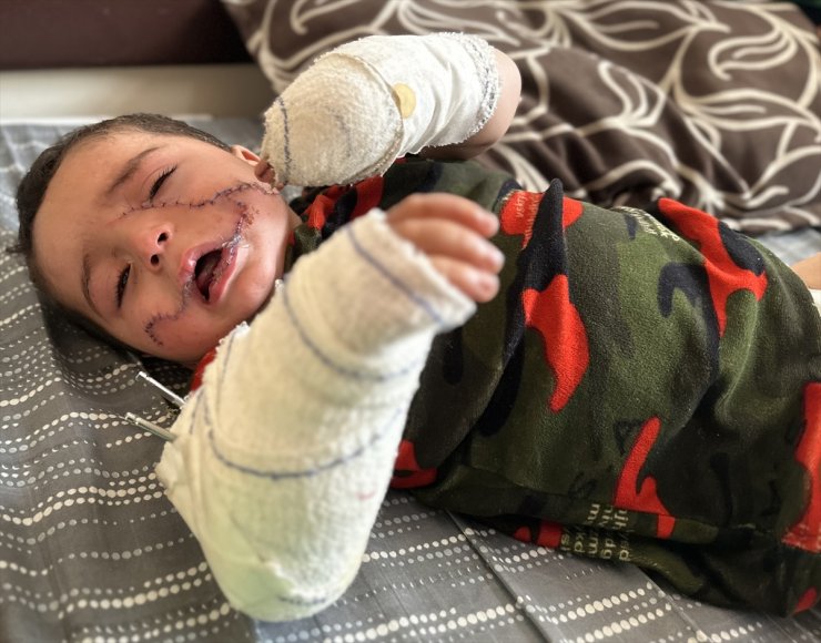 İsrail saldırısında ağır yaralanan Filistinli bebek için Gazze dışında tedavi imkanı aranıyor