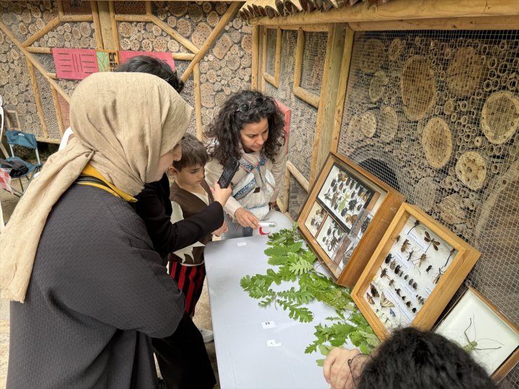 İstanbul Üniversitesinin nadir türleri Ormanya'nın Böcek Oteli'ne konuk oldu