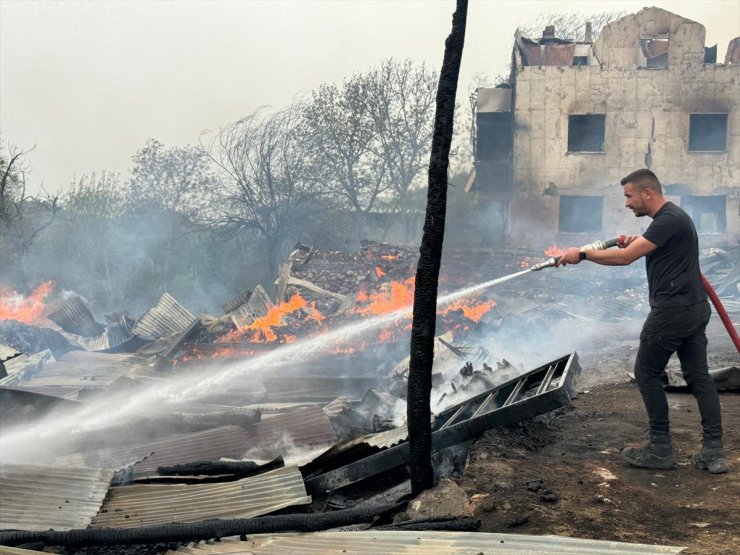 Kastamonu'da 2 ev, sera ve ahırlar yandı, 4 büyükbaş hayvan öldü