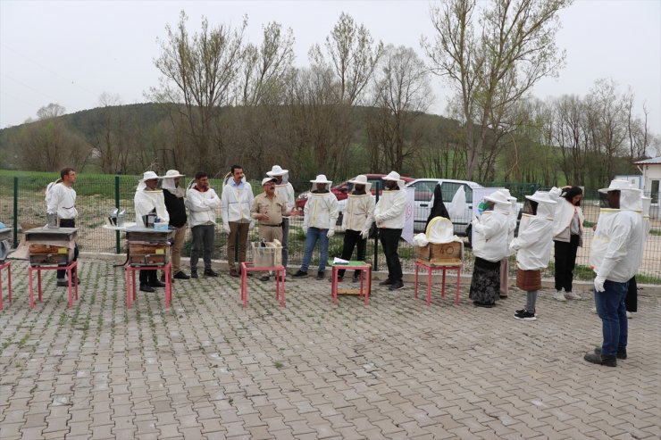 Karabük'te kadınlar ve genç çiftçiler arıcılığa teşvik ediliyor