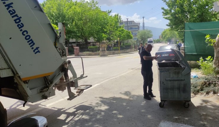 Bursa'da parçalanan ayının gövdesi çöp konteynerinde, başı bir evin bahçesinde bulundu