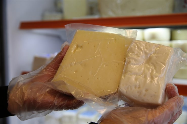 Trakya'nın coğrafi işaretli peynirlerinin tanıtımı için "peynir rotası" önerisi