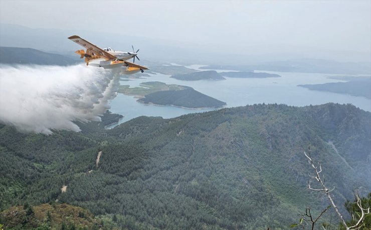 Samsun'da yıldırım isabet etmesi sonucu ağaçlık alanda yangın çıktı