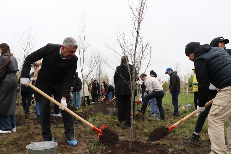 Kazakistan’da başkent Astana’yı ağaçlandırma faaliyetleri sürüyor