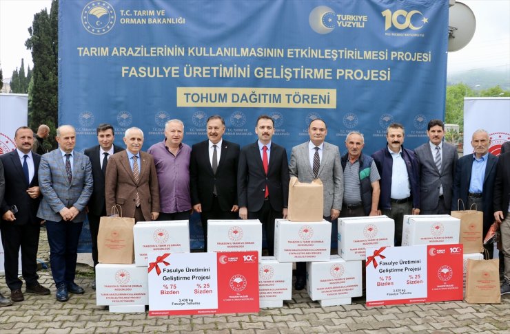 Trabzon'da 3 ton fasulye tohumu 700 dekar alana ekilecek