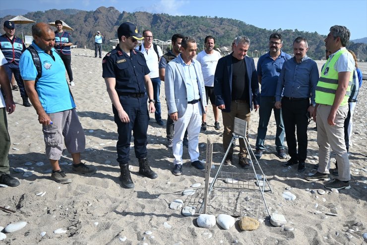 Antalya'nın Çıralı sahilinde caretta carettalar yumurta bırakmaya başladı
