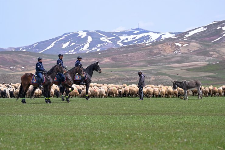 Atlı jandarma timi sınır hattındaki arazilerde devriyede