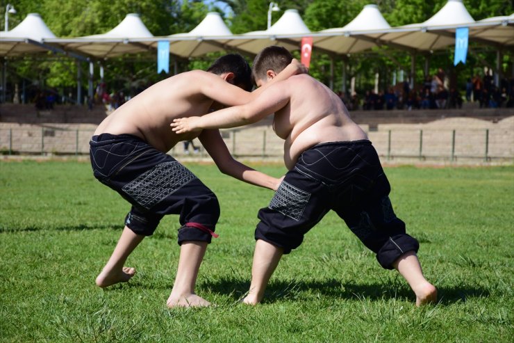 Bilecik'te Karakucak Güreş Festivali düzenlendi
