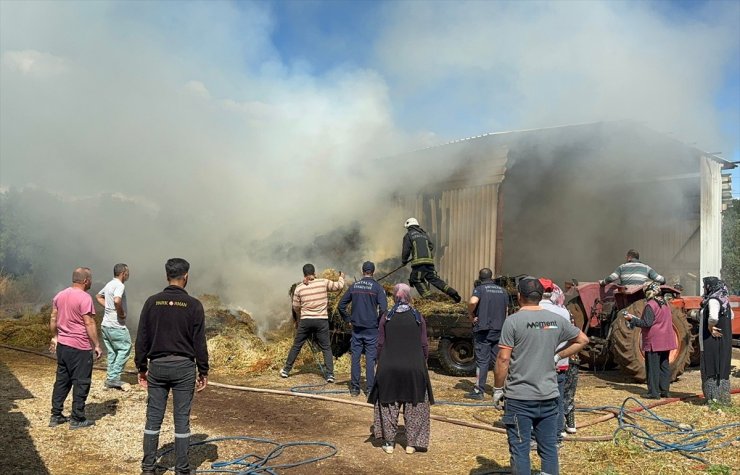 Antalya'da besihanede çıkan yangın hasara neden oldu