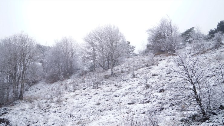 Tokat'ta yüksek kesimlerde kar etkili oldu