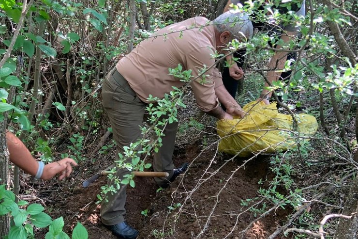 Elazığ'da kaçak salep soğanı toplayan 2 kişiye 774 bin 282 lira ceza