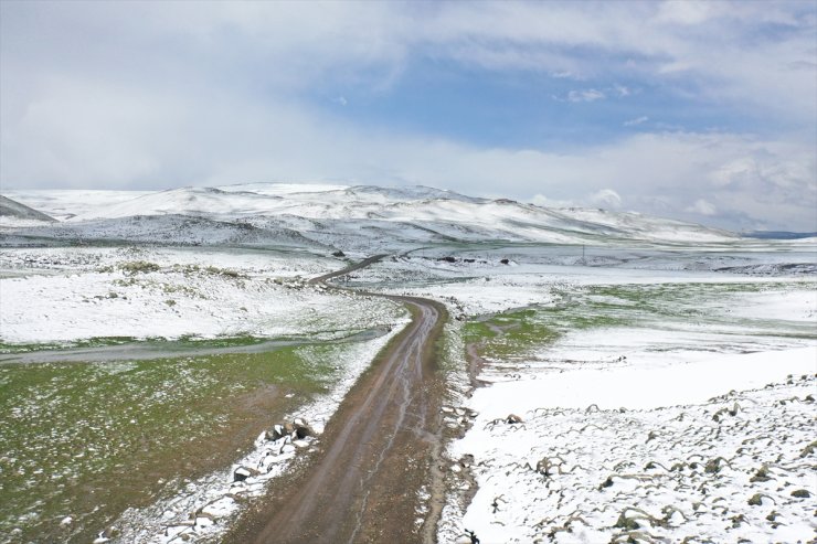 Ağrı, Kars ve Erzincan'ın yüksek kesimleri yeniden karla kaplandı