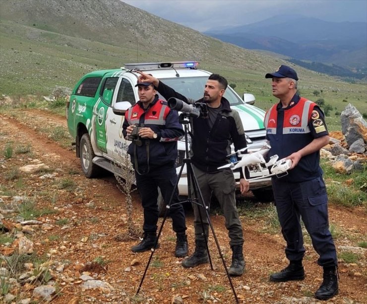 Kahramanmaraş'ta dron destekli kaçak av denetimi yapıldı