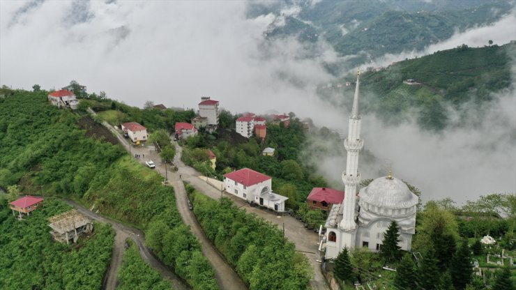 Yarım asırlık muhtar Ali Emanet'in köyüne hizmet sevdası bitmiyor