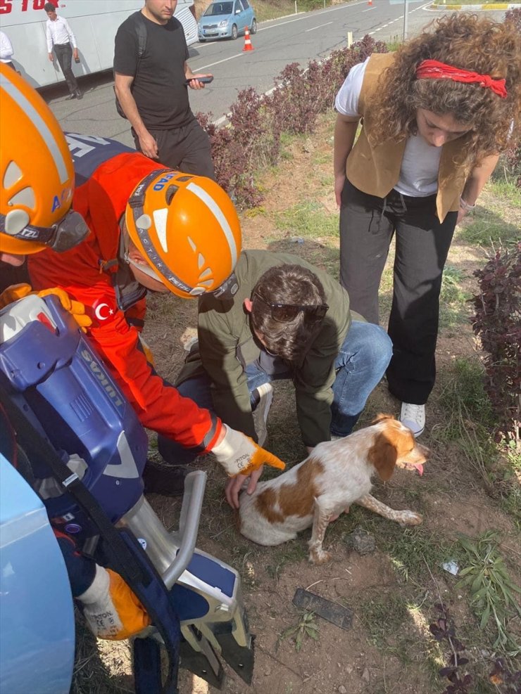 Trafik kazasında otomobilde sıkışan köpeği AFAD ekipleri kurtardı