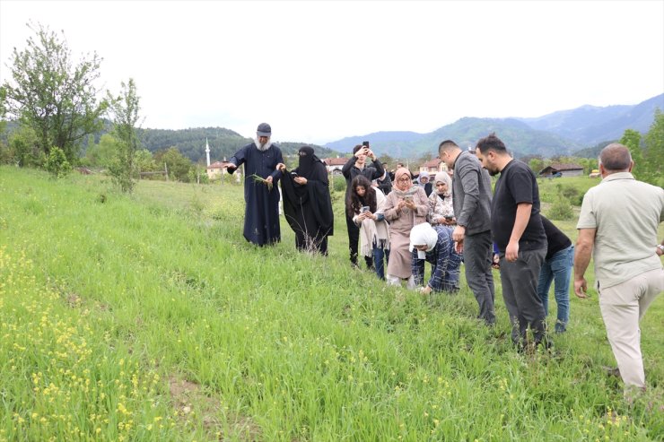 Kastamonu'nun siyezi Orta Doğu pazarına açılacak