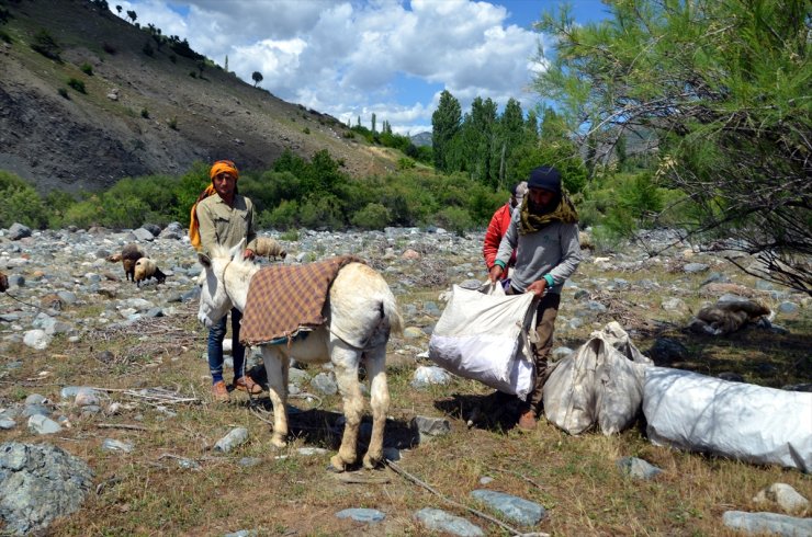 Muşlu besicilerin yaylalara yolculuğu başladı