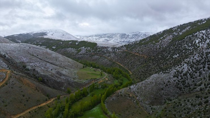 Bayburt ve Gümüşhane'nin yüksek kesimlerinde kar yağışı