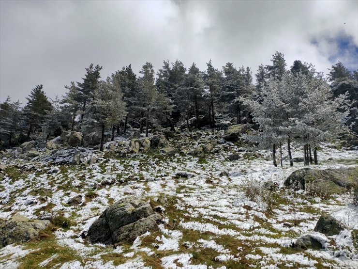 Bolu'nun yüksek kesimlerine kar yağdı