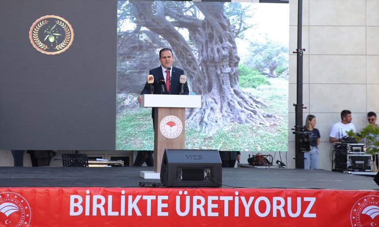 Muğla'da en iyi zeytinyağı üreticileri ödüllendirildi