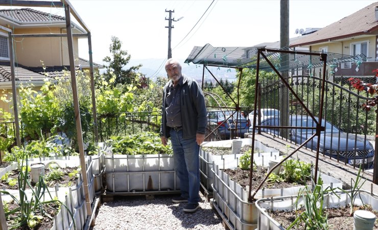 Emekli profesör sürdürülebilir tarımla evinin bahçesinde "mini çiftlik" kurdu
