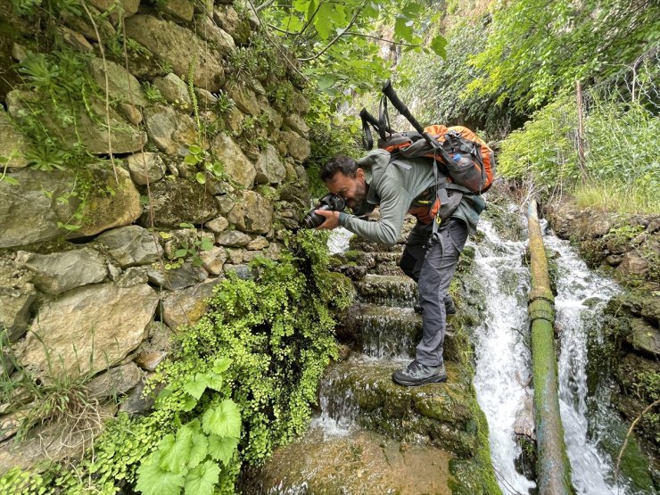 İlkokul öğretmeni 12 yıldır kelebek ve çiçekleri kayıt altına alıyor