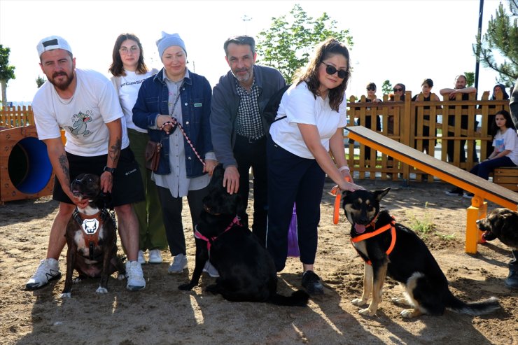 "Proteo"nun adının yaşatıldığı parkurda köpekler ücretsiz eğitiliyor