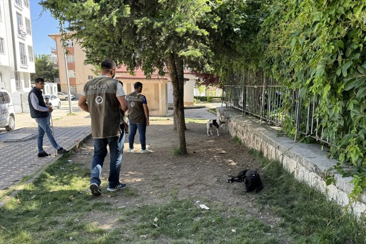 Elazığ'daki bakımevinde 8 yılda 6 bin 18 köpek kısırlaştırıldı