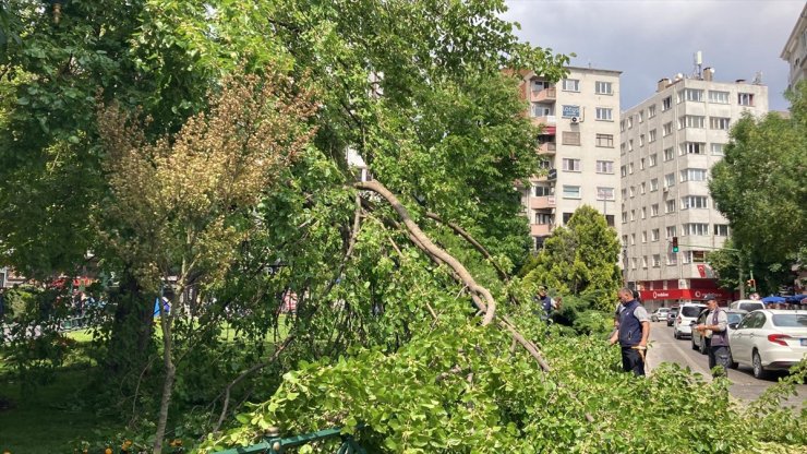 Eskişehir'de dut ağacının kırılan dalları seyir halindeki otomobilin üzerine devrildi