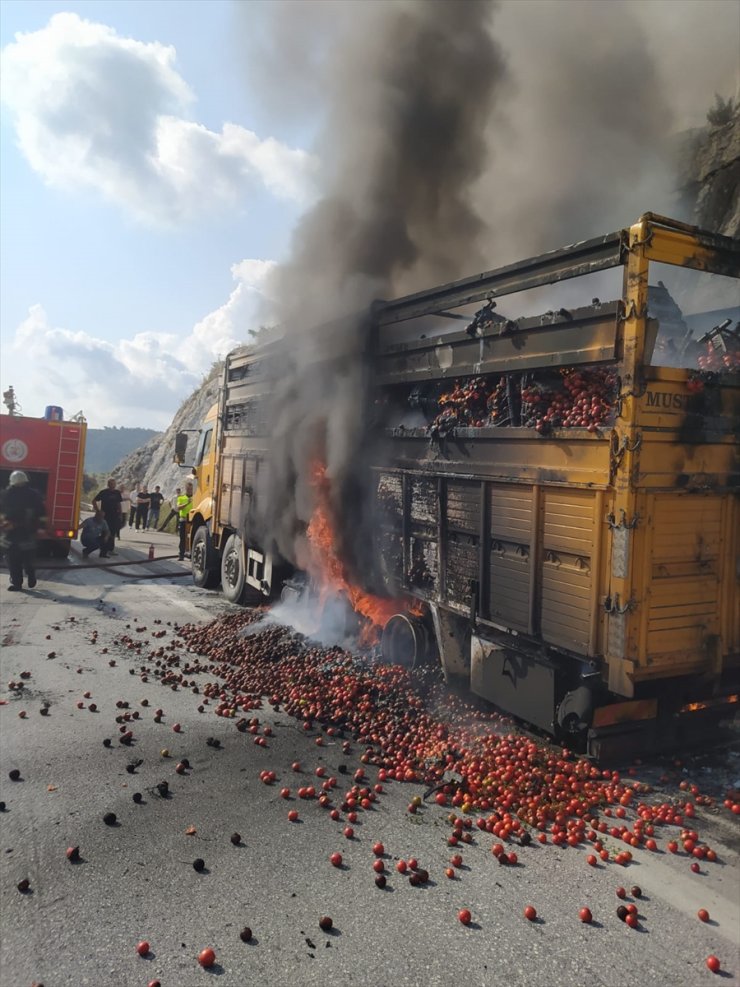 Mersin'de domates yüklü kamyonda çıkan yangın söndürüldü