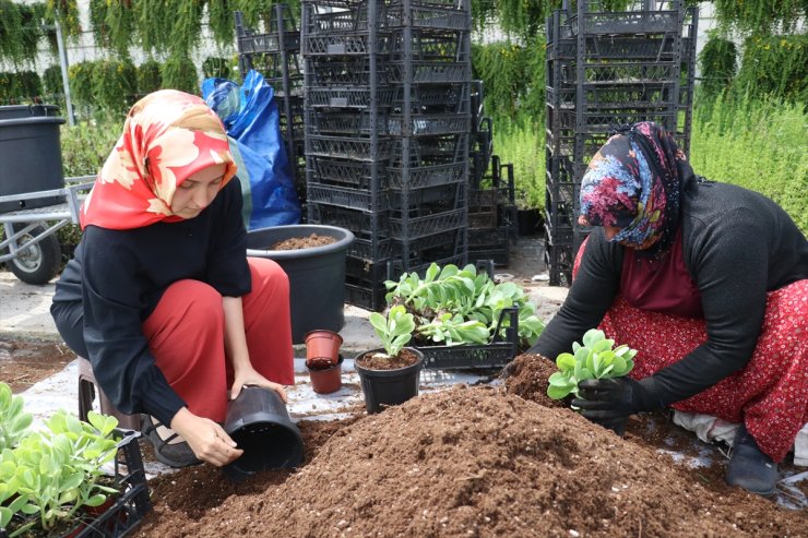 Mesleklerini bırakıp babalarının şirketini devralan kız kardeşler 15 ülkeye ihracat yapıyor