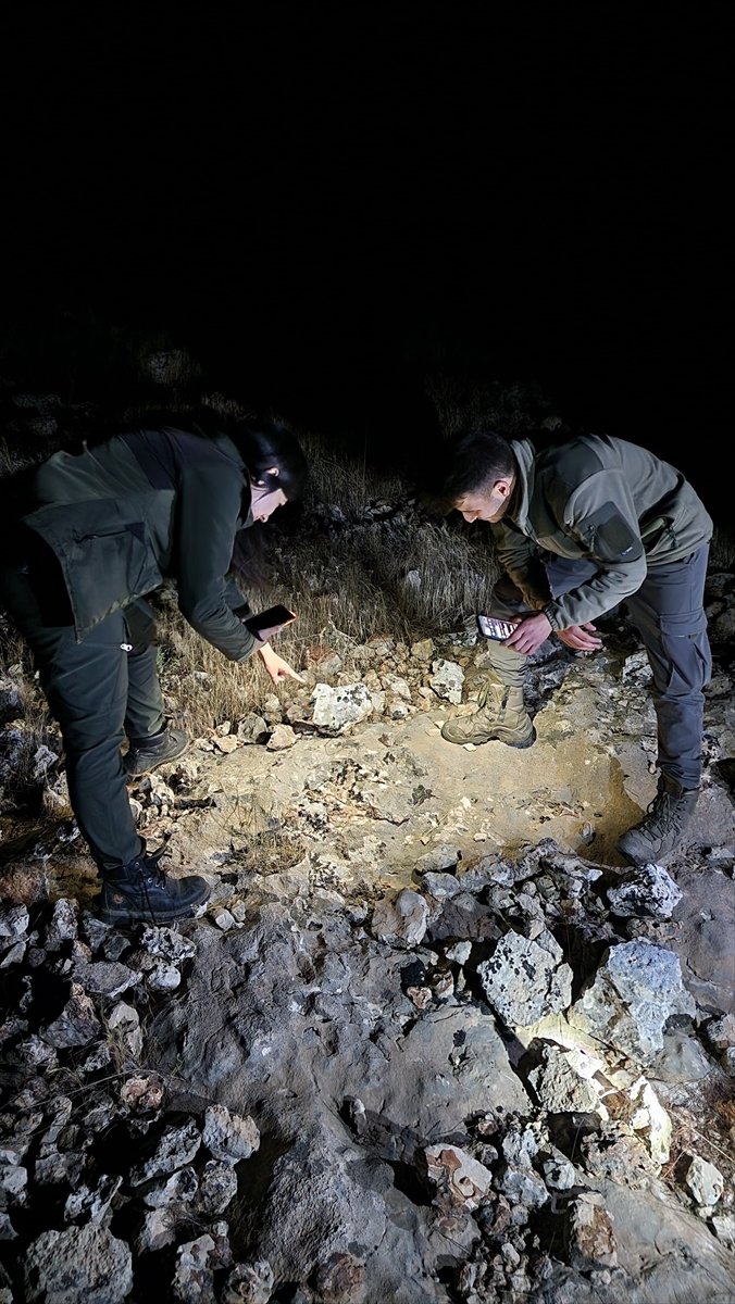 Şanlıurfa'da "Leopar keleri" görüntülendi