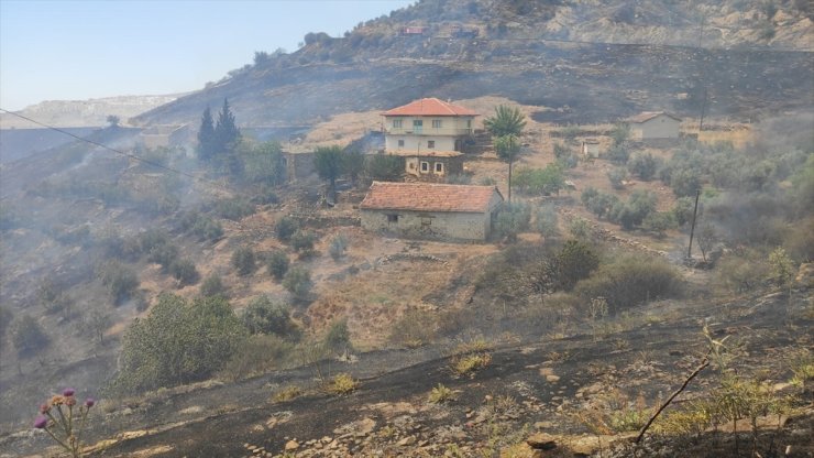 GÜNCELLEME - Manisa'da tarım alanından ormana sıçrayan yangına müdahale ediliyor