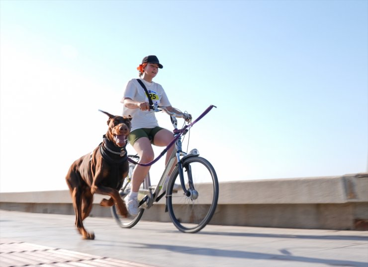 İzmir'de köpekli koşu ve bisikletli köpekli koşu düzenlendi