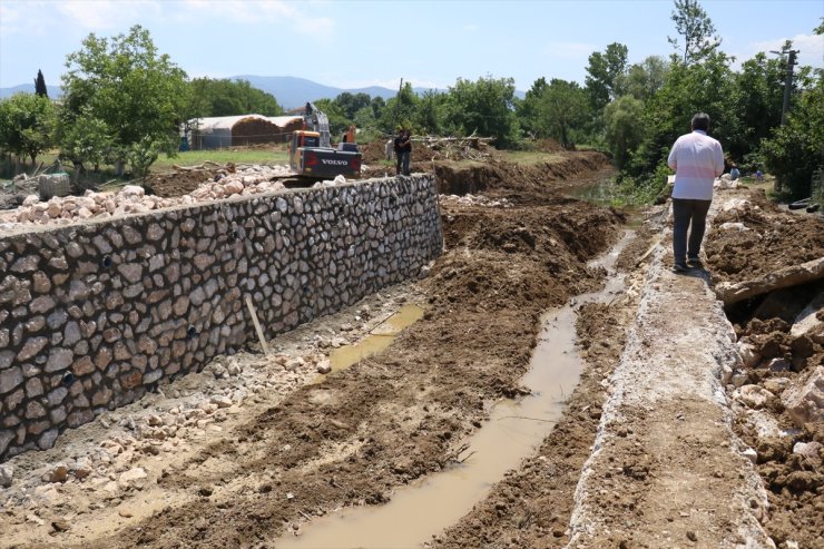 Yalova'da dere ıslahından etkilenen kaplumbağalar taşındı