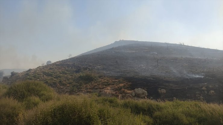 İzmir'de makilik alandaki yangına ilişkin 2 kişi yakalandı